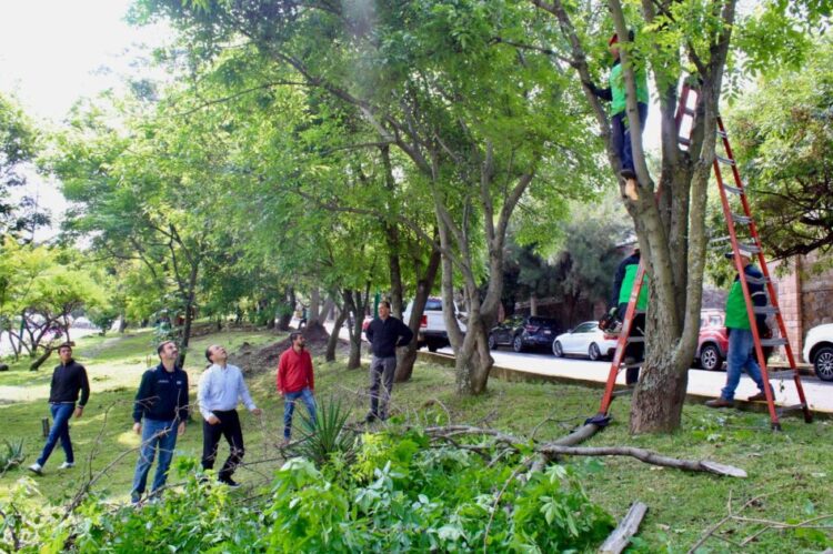 Gobierno de Morelia inicia semana con jornada de limpieza en Av. Fray Antonio de San Miguel