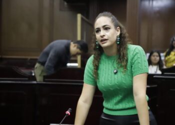 Propone Sandra Arreola cerrar el paso a la impunidad ambiental en Michoacán