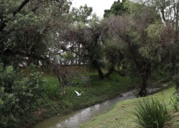 Gobierno de Morelia recupera la imagen urbana del parque lineal del Río Chiquito