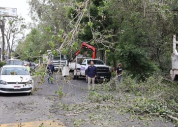 Brigadas de la Secretaría de Servicios Públicos intervienen el Río Chiquito