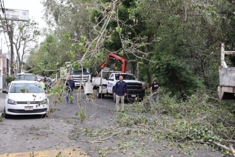 Brigadas de la Secretaría de Servicios Públicos intervienen el Río Chiquito