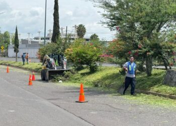 Embellecen accesos de Morelia con jornada de limpieza integral en la avenida Miguel Hidalgo