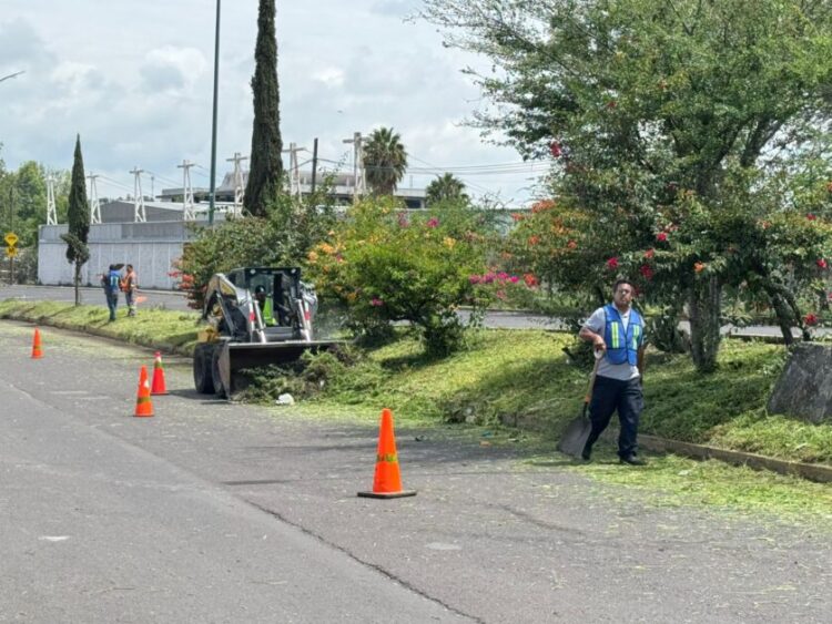 Embellecen accesos de Morelia con jornada de limpieza integral en la avenida Miguel Hidalgo