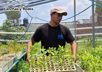 Prepara AC mega reforestación en cuenca de Cuitzeo