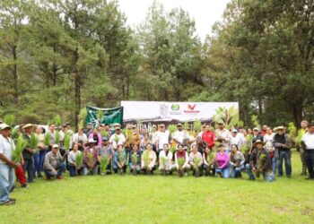 Participa Vicente Gómez en arranque de reforestación 2025 en Tacámbaro