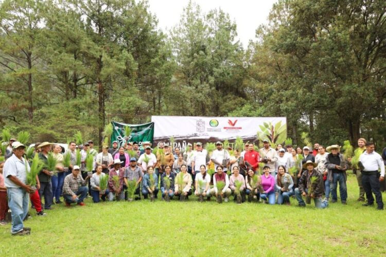 Participa Vicente Gómez en arranque de reforestación 2025 en Tacámbaro