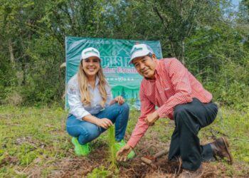 Impulsa Dayana Pérez el Medio Ambiente con la Plantación de 2,500 Pinos en Salvador Escalante