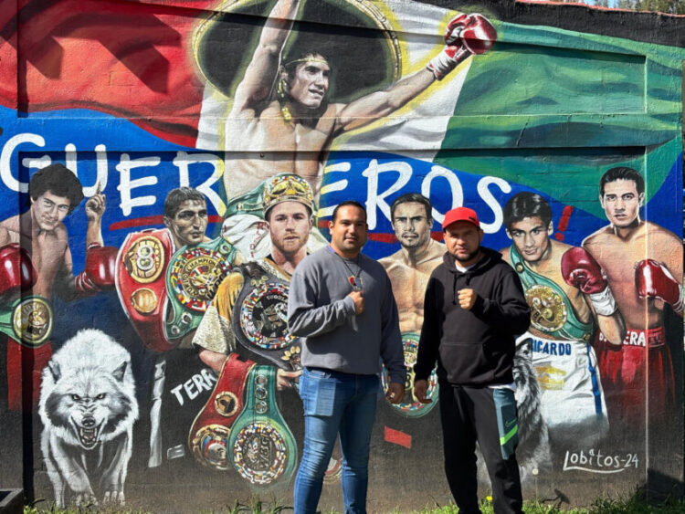 Agarra fuerza la práctica del boxeo en Morelia