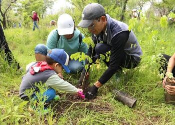 Únete a la campaña para plantar 10 millones de árboles en Michoacán