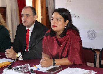 Avanza con transparencia el proces para elegir a tres Auditorías Especiales de la ASM: Eréndira Isauro