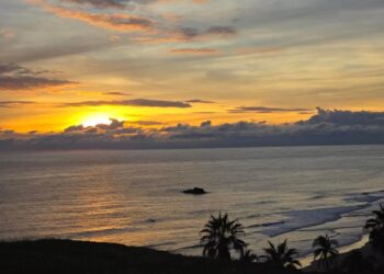 Aptas las playas michoacanas  para uso recreativo durante el verano: SSM
