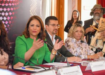 Migrantes podrán evitar pago de impuestos en remesas: Fabiola Alanís