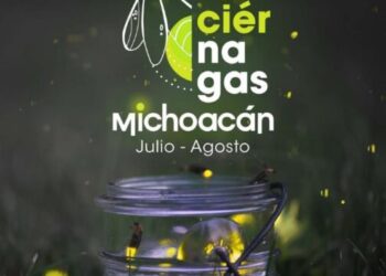 Ven a disfrutar la magia de las luciérnagas este verano en Michoacán