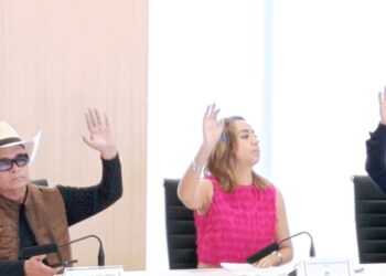 Regidora Celeste Trujillo celebra resultados de la estrategia de seguridad de Alfonso Martínez