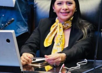 Puerto de Lázaro Cárdenas avanza hacia la modernización y crecimiento: Araceli Saucedo