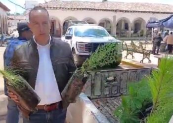 Impulsa Ayuntamiento de Morelos el cuidado del medio ambiente con acciones de reforestación