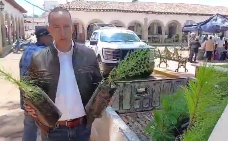 Impulsa Ayuntamiento de Morelos el cuidado del medio ambiente con acciones de reforestación