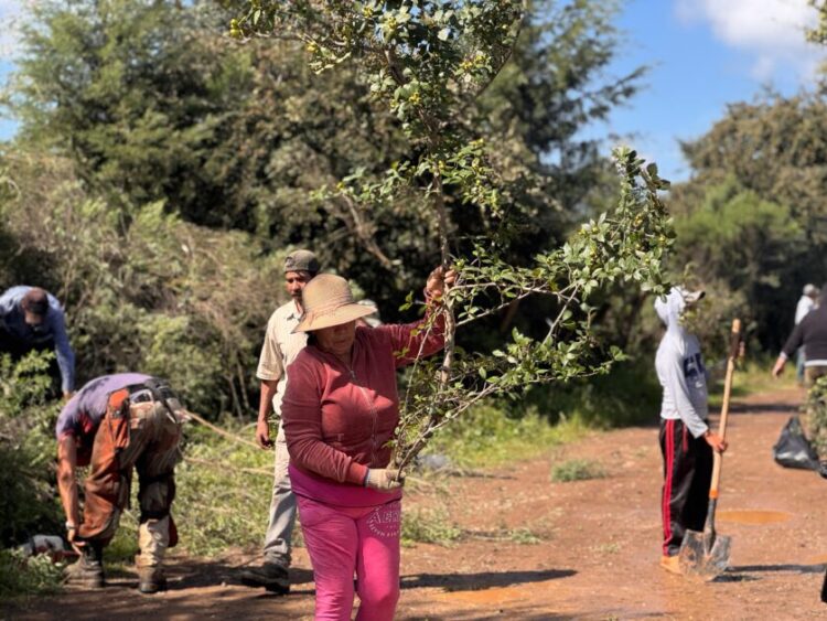 Gobierno de Morelia fortalece la conexión rural con acciones integrales en Loma Caliente