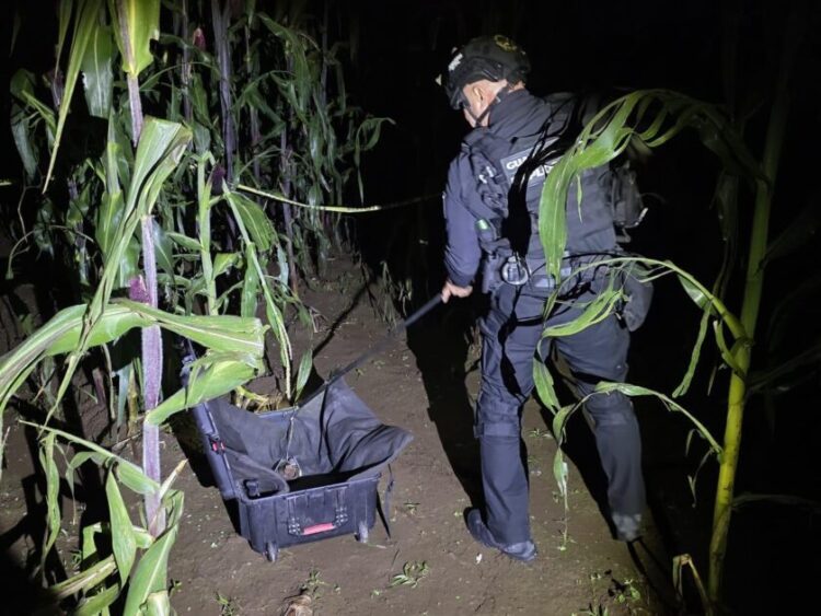 Grupo especial antiexplosivos desactiva granada de gas en Arantepacua