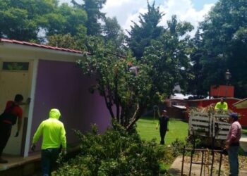 Refuerza Alma Mireya González cuidado de áreas verdes escolares y dan mantenimiento