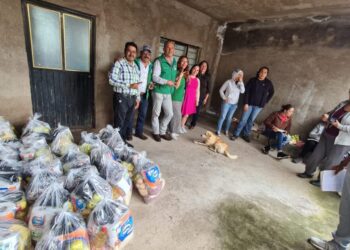 Inicia programa piloto de entrega de canastas básicas a bajo costo por el Comité del Partido Verde en Puruándiro