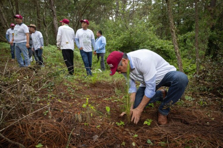 Convoca Raúl Morón a michoacanos a unirse y preservar el medio ambiente