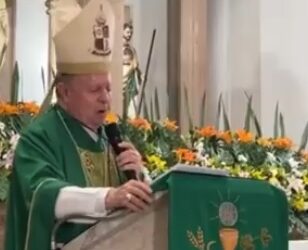 Cobros de piso, asesinatos, desplazamientos forzados y lucha por el control territorial en Apatzingán y Tepalcatepec