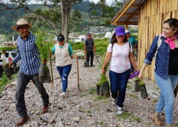 Con buenas acciones, Brissa Arroyo sigue sumando y ahora fue una jornada de reforestación en Puerto de Buenavista