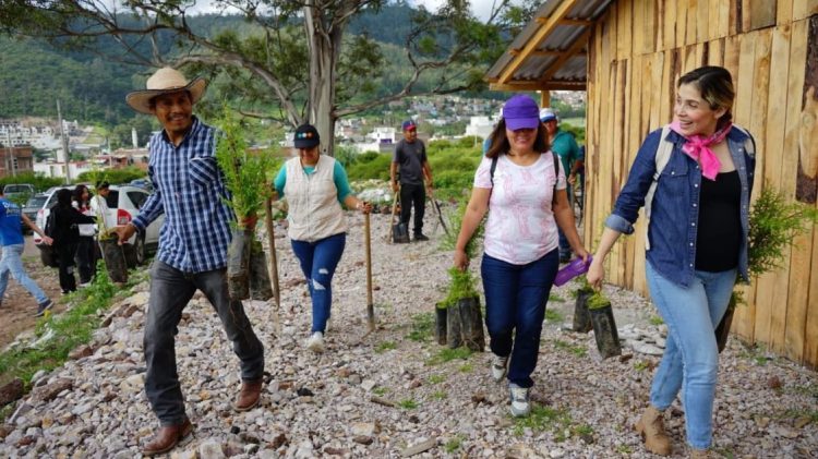Con buenas acciones, Brissa Arroyo sigue sumando y ahora fue una jornada de reforestación en Puerto de Buenavista