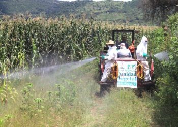 Gobierno de Morelia apoya a productores agrícolas