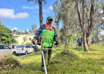 Se dio atención a las áreas verdes, y se acercaron servicios de atención animal