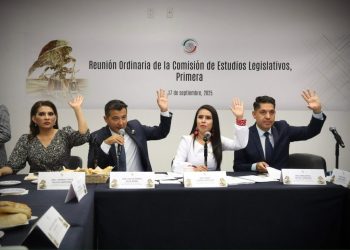 Es aprobada en Comisiones iniciativa de Raúl Morón para modernizar y  volver inclusivas bibliotecas públicas de México