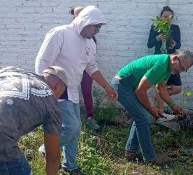 Se impulsa en Agua Gorda reforestación y educación ambiental con apoyo de la Brigada Puruándiro Siempre Verde