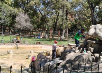 Gobierno de Morelia realiza limpieza de la Fuente de ‘Los Patos’