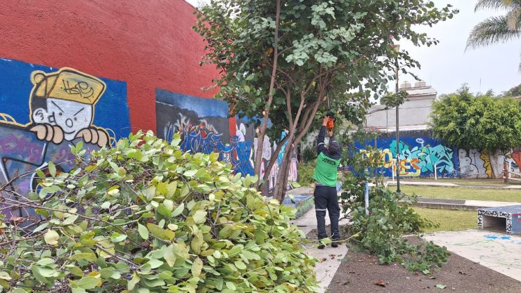 Gobierno de Morelia da mantenimiento integral al área verde de la 5 de Diciembre