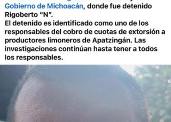 Detienen al presunto autor intelectual del asesinato del líder limonero Bernardo Bravo en Apatzingán