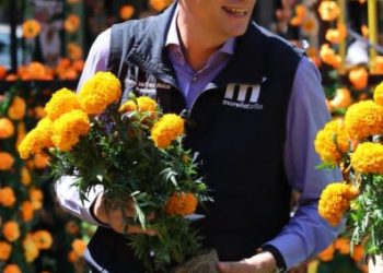 Morelia se viste de colores y olores del cempasúchil