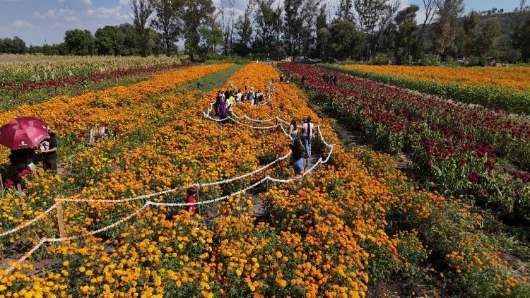 Numerosas familias disfrutan de la Fiesta de la Flor de Cempasúchil 2025 en Tarímbaro