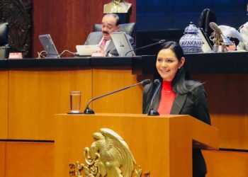 Ley de Ingresos garantiza recursos para bienestar, salud y educación: Araceli Saucedo