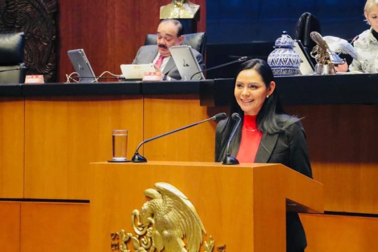 Ley de Ingresos garantiza recursos para bienestar, salud y educación: Araceli Saucedo