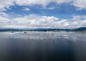 Inicia programa para rehabilitar más de 60 hectáreas del lago de Cuitzeo: Compesca