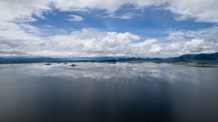 Inicia programa para rehabilitar más de 60 hectáreas del lago de Cuitzeo: Compesca