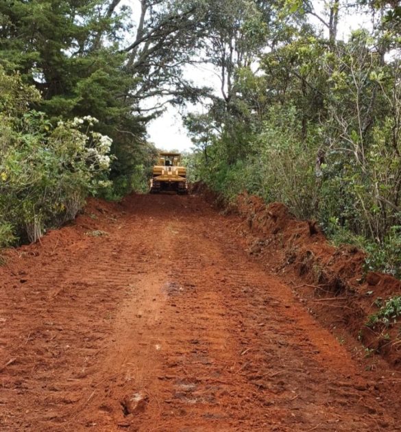 Gobierno de Morelia continúa rehabilitando caminos rurales
