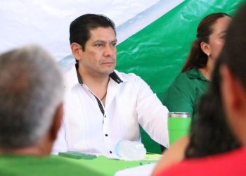 Reconoce PVEM esfuerzo del Plan Michoacán; espera resultados prontos en seguridad