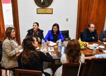 Llaman diputados del PAN a no detener trabajos legislativos por el Plan Michoacán