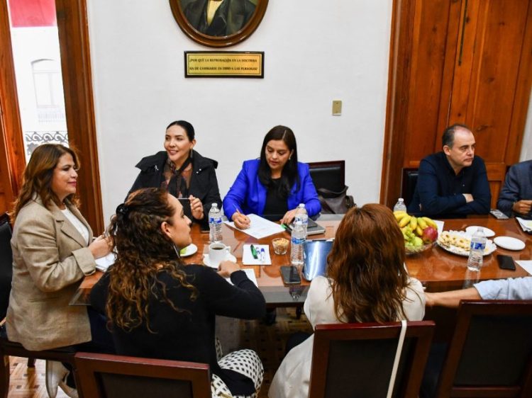 Llaman diputados del PAN a no detener trabajos legislativos por el Plan Michoacán