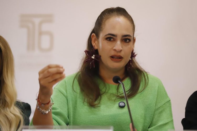 La protección de quienes defienden la tierra debe ser prioridad nacional: Sandra Arreola