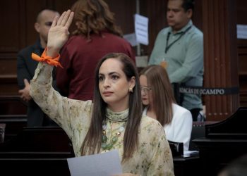 Sandra Arreola reconoce la importancia de fortalecer la estrategia de seguridad en Michoacán