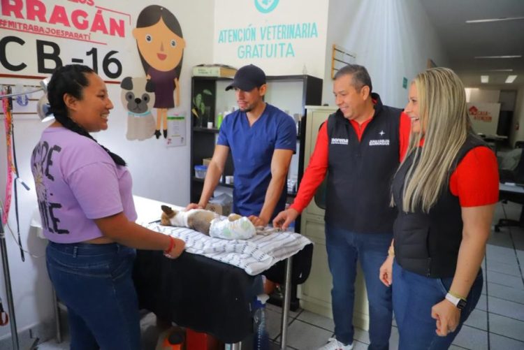 Barragán promueve esterilizaciones a bajo costo para impulsar la tenencia responsable de mascotas