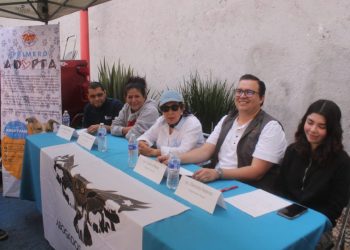 Se enciende la esperanza con GHAPAD al convocar apoyo para alimentar 2 mil 500 peludos en esta Navidad y Año Nuevo